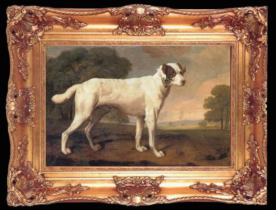 framed  George Stubbs Dog, Ta009